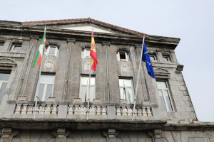 Fabricacion de banderas institucionales